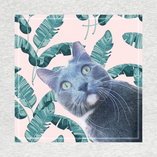 Summer of Roger the Cat Pastel Pink Palm Leaves by RogerTheCat